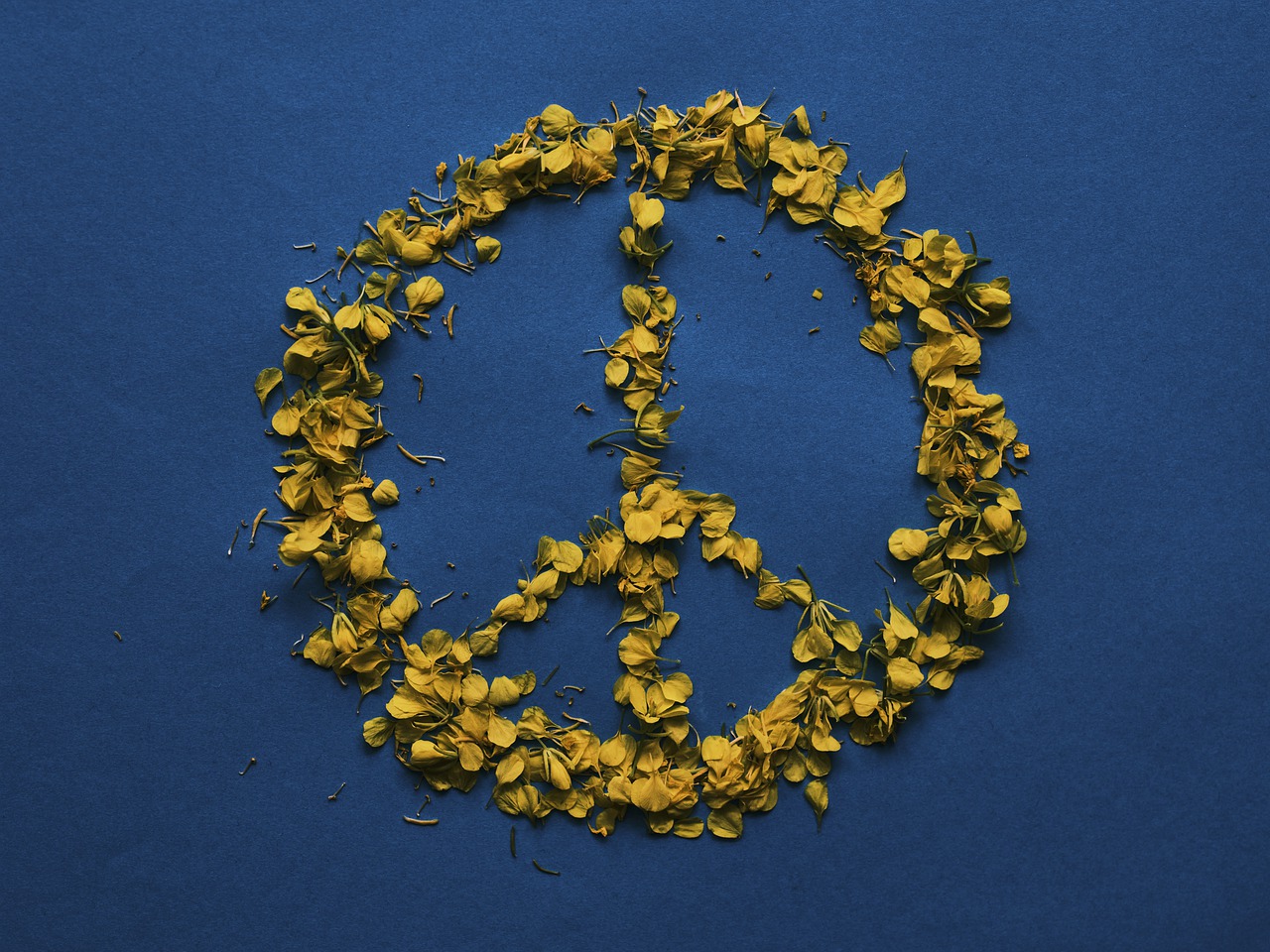 Flowers arranged into a peace symbol