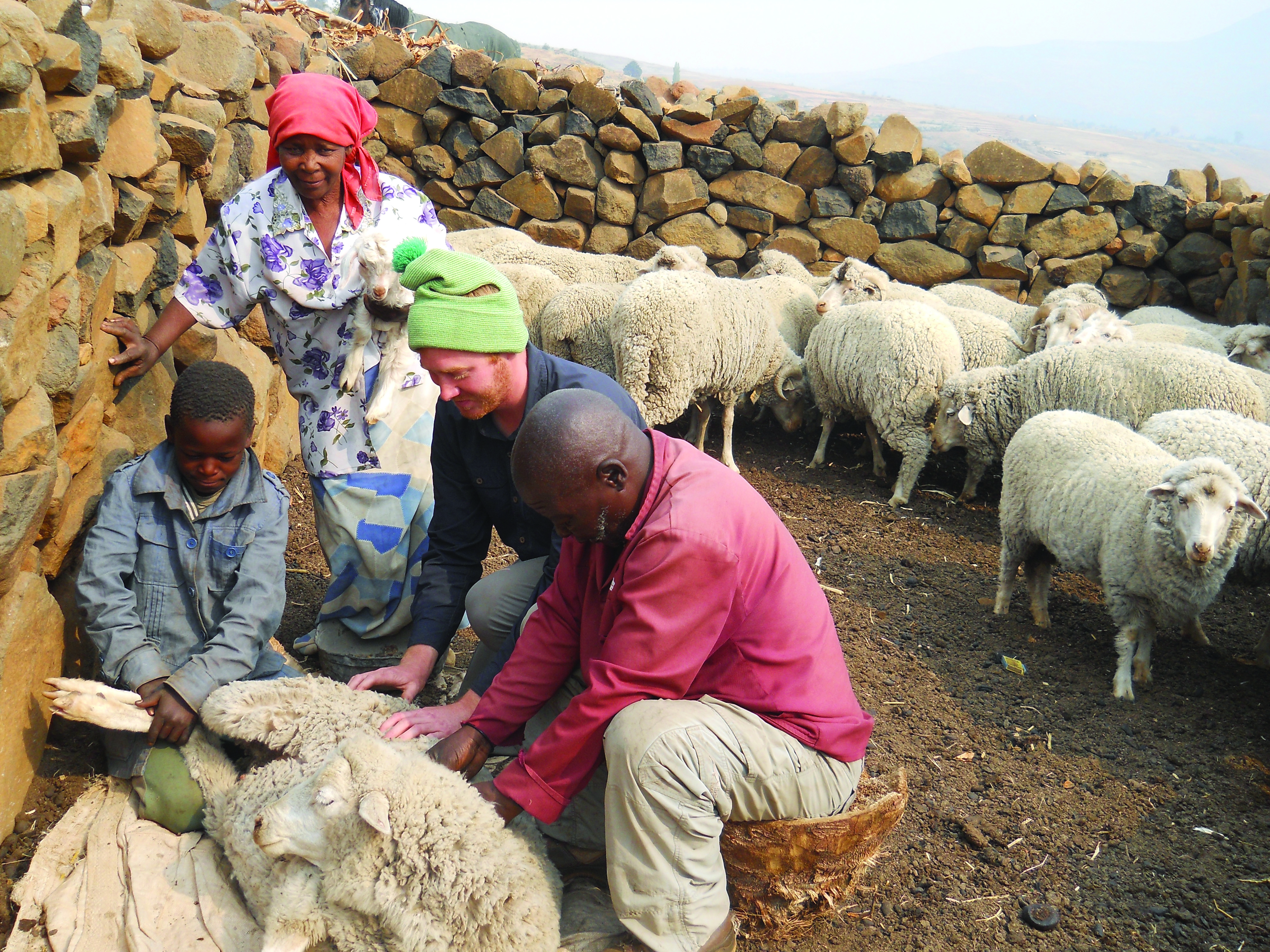 Caleb Fetterhoff assists shepherds with an injured sheep in the highlands of Lesotho, Africa.