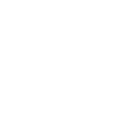 Instagram-Icon-White_250x250.png