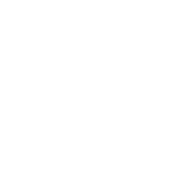 NEW-Twitter-Logo-White_250x250.png