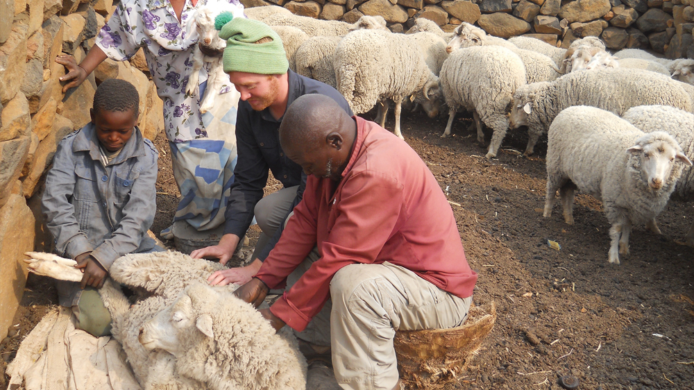 Caleb Fetterhoff assists shepherds with an injured sheep in the highlands of Lesotho, Africa.